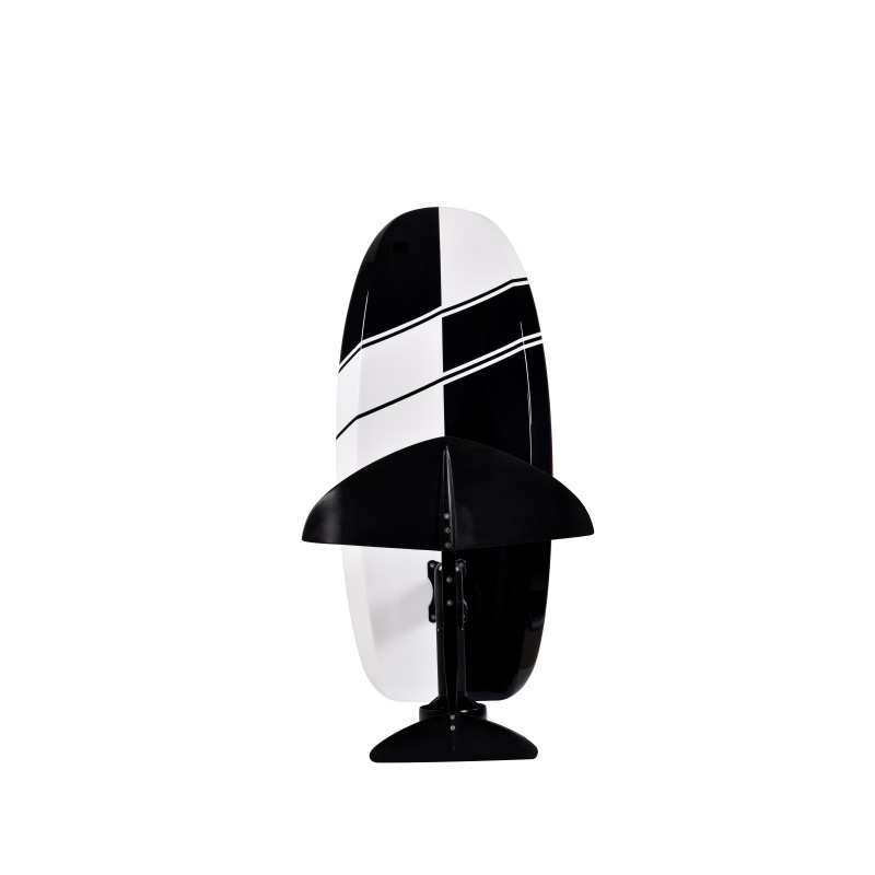 un efoil noir et blanc, recherche google image 2023